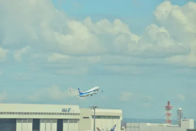 DSC_4049 (Large).JPG